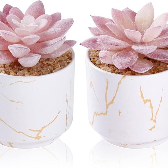 Artificial Plants and Succulents in 2 White Ceramic Pots,Small Fake Plants - Picture 2 of 7